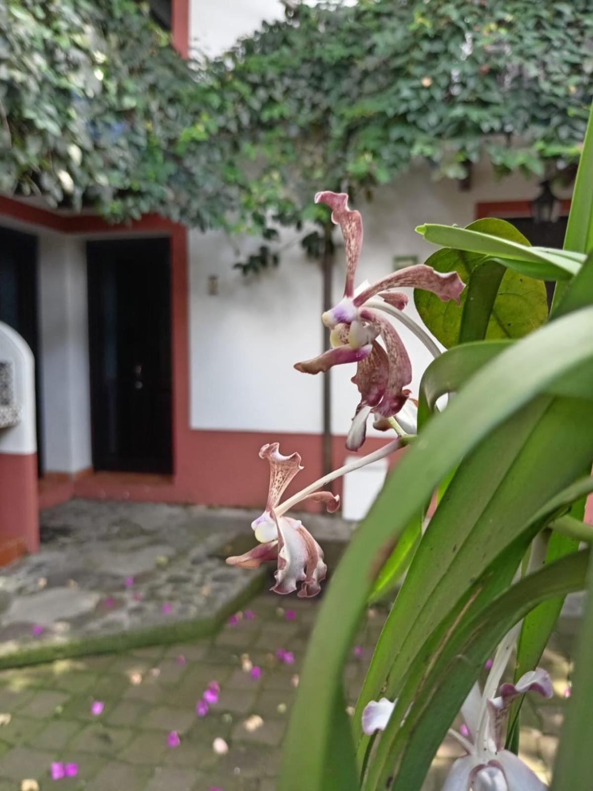 Hotel Boutique Casabella Coatepec  Ngoại thất bức ảnh