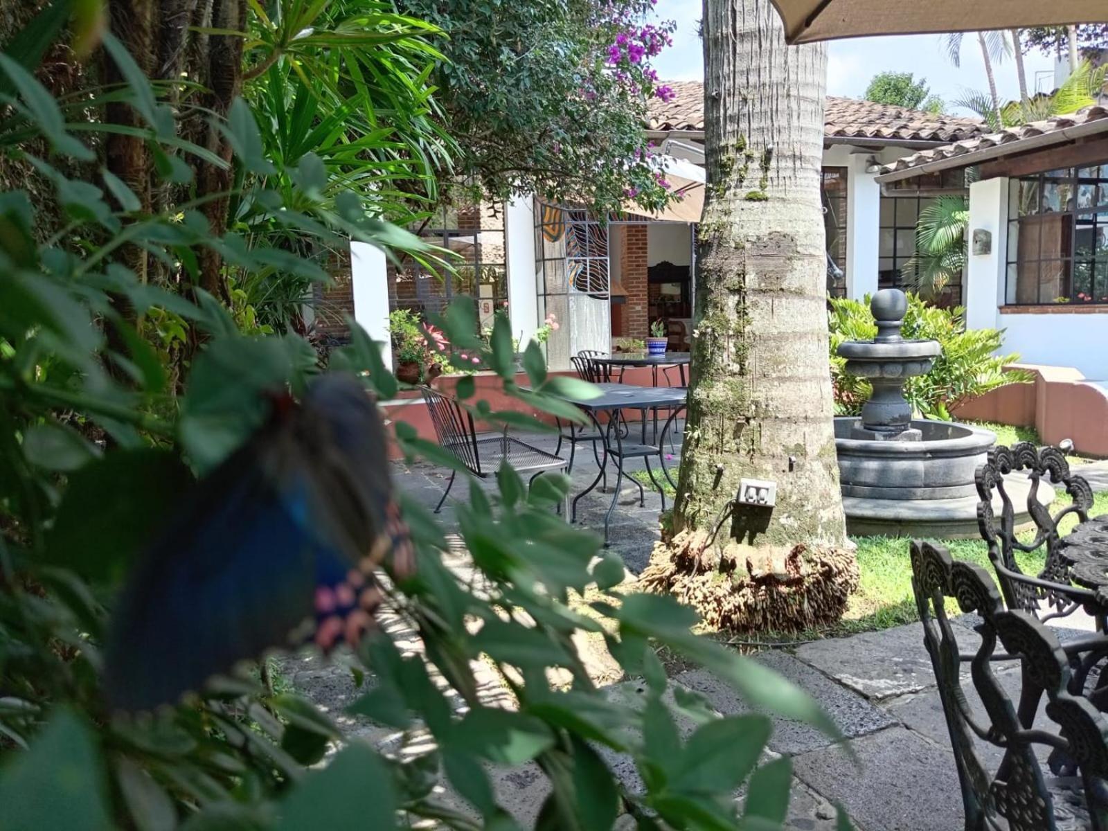 Hotel Boutique Casabella Coatepec  Ngoại thất bức ảnh