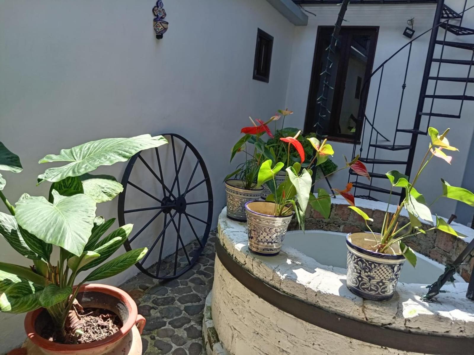 Hotel Boutique Casabella Coatepec  Ngoại thất bức ảnh